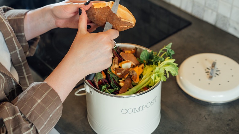 Person cuts sweet potato scraps into a countertop compost