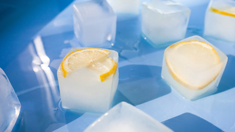Lemon ice cubes.