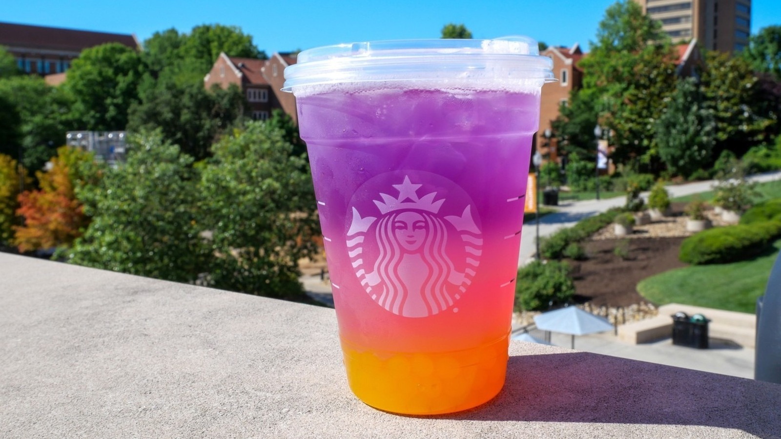 FoodWireDaily — How To Make An Italian Soda At Starbucks