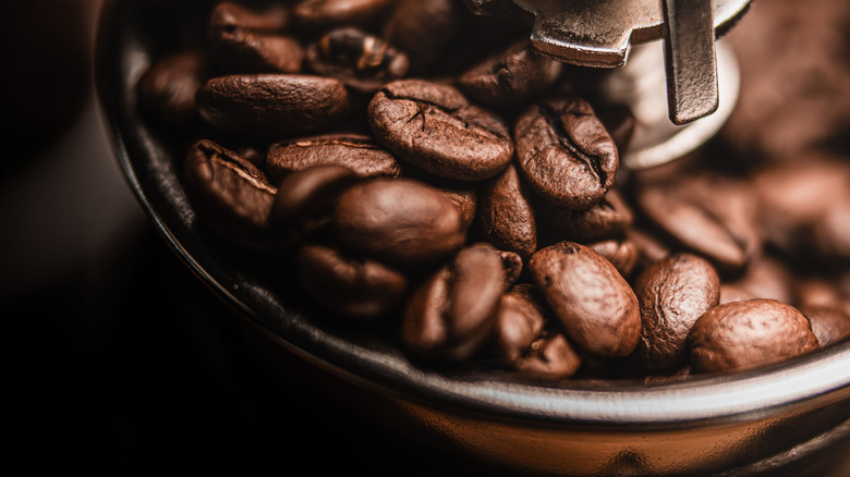 a coffee grinder is filled with coffee beans