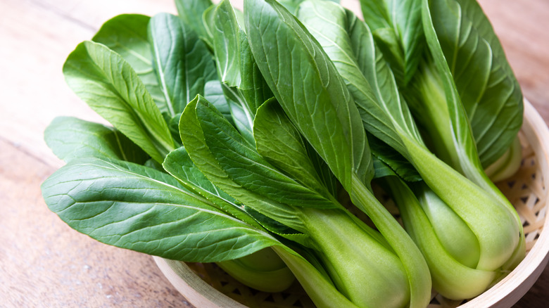 Two fresh stalks of bok choy sit in a bowl on top of a wooden cutting board