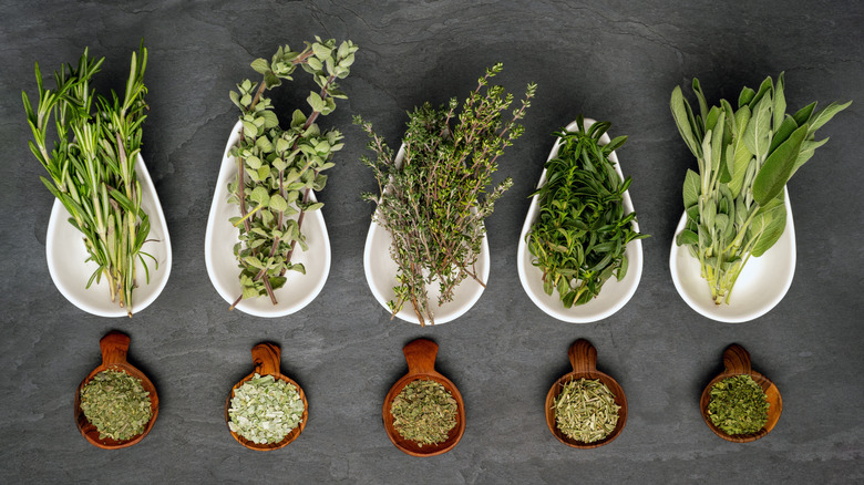 Fresh rosemary, oregano, thyme, marjoram and sage are displayed with their dried counterparts.