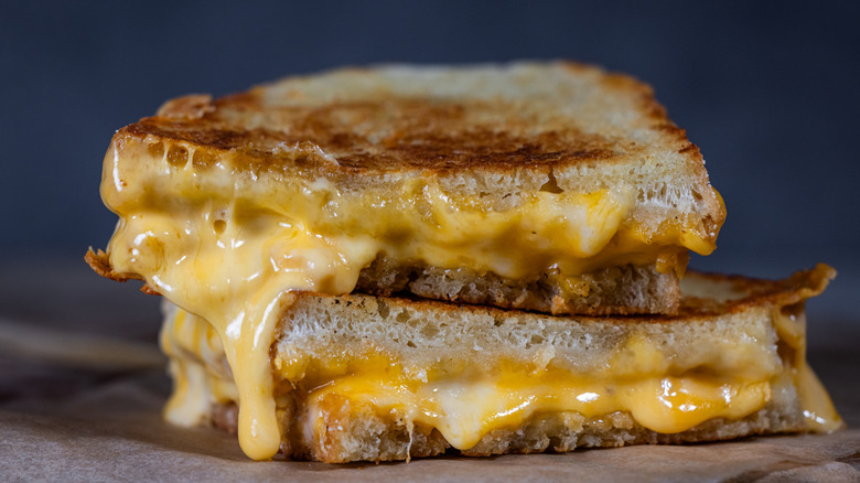 A rilled cheese sliced open.