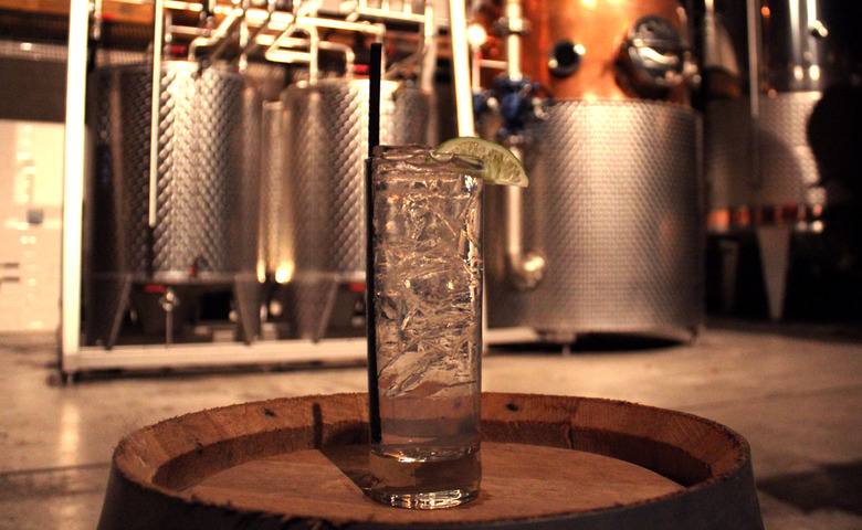 How To Mix The Perfect Gin And Tonic