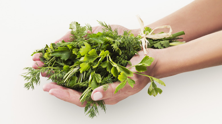 bouquet of fresh herbs