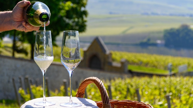 Pouring glasses of Champagne at a vineyard