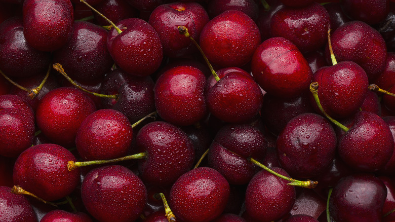 Close up of a pile of Bing cherries
