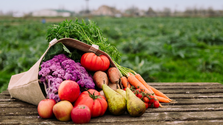 colorful fruits and vegetables