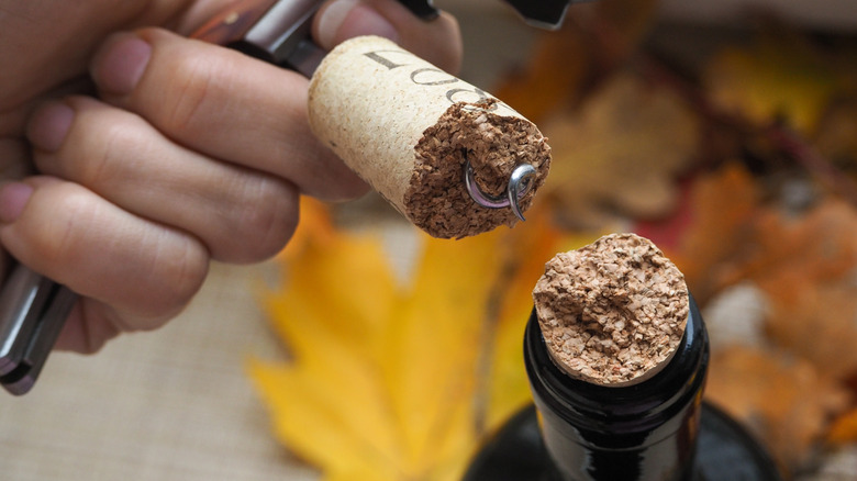 broken cork on corkscrew and in wine bottle