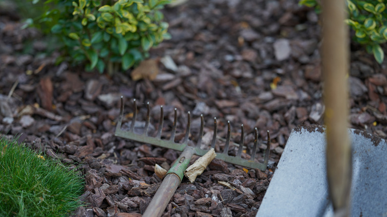 Gardening tools sit rest on a mulchy surface
