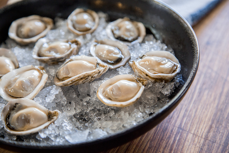 shuck-a-bunch-of-oysters