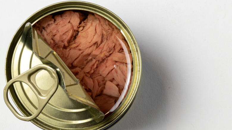 A half-opened can of tuna