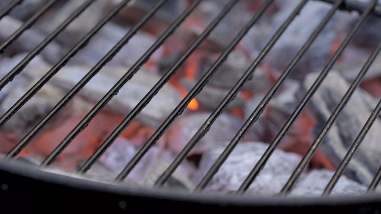 season-the-grill-2