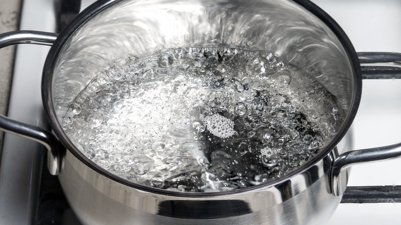 Boiling water in pan. Cooking pot on stove with water and steam