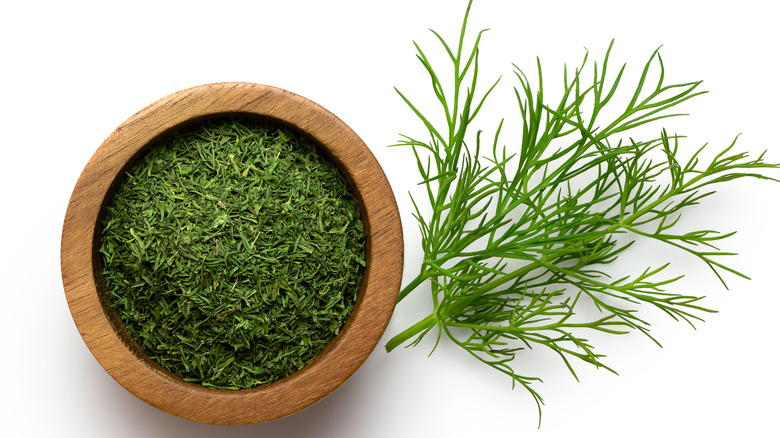 Dried and fresh green dill