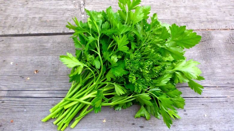 Parsley on a wooden board