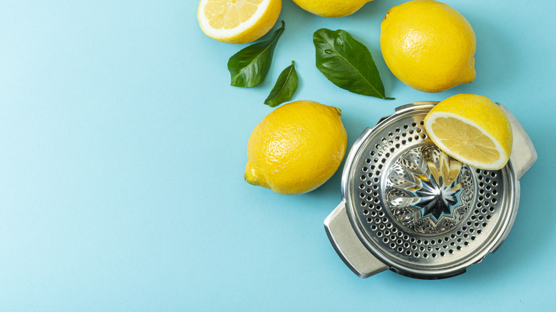 Sliced lemons scattered alongside a small juicer
