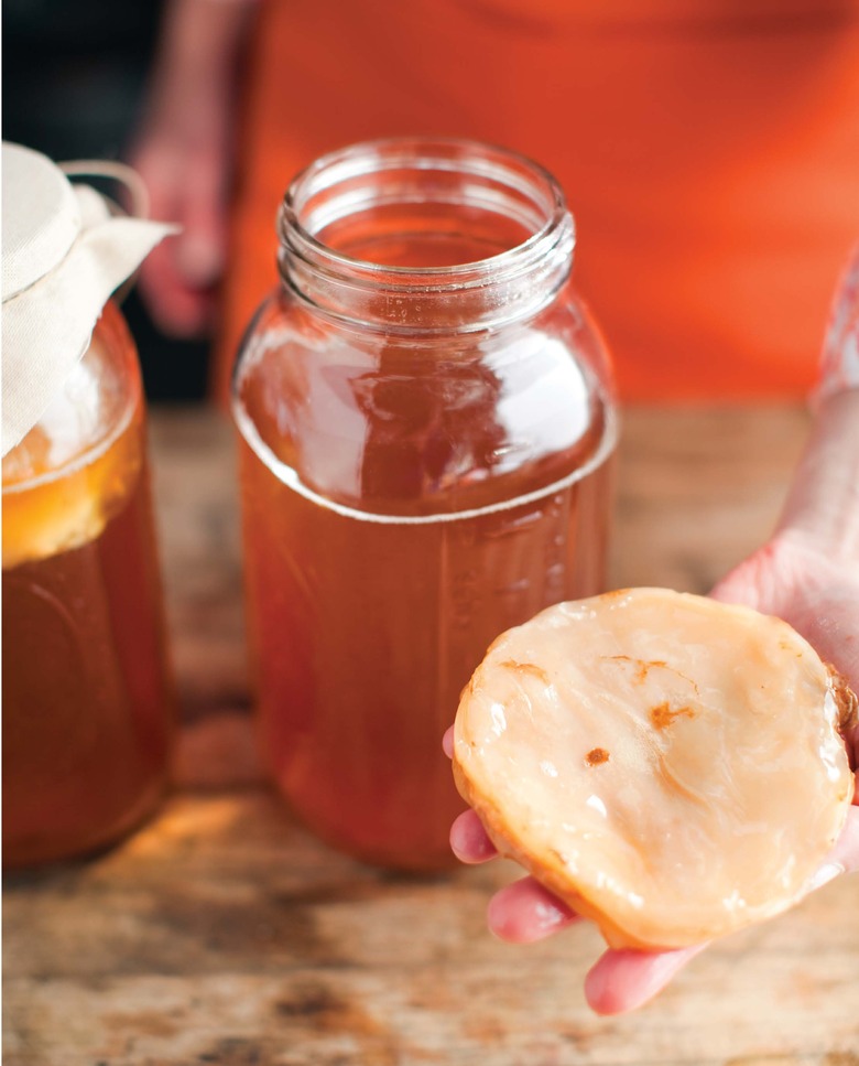 How to Make a Kombucha Scoby (Tutorial + Troubleshooting!)