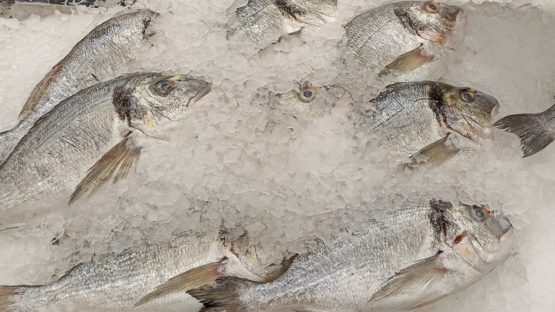 Whole fish in an ice bed