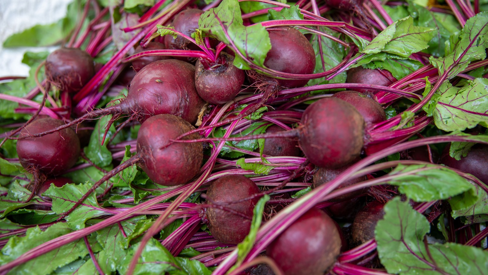 Store Beets In The Fridge So They Last Longer
