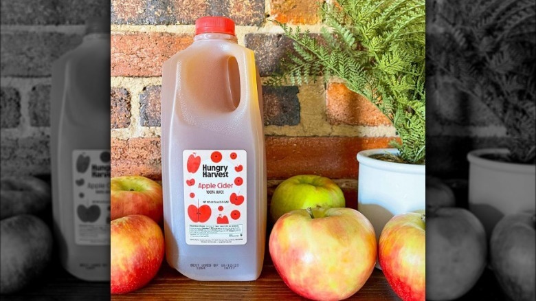 Jug of Hungry Harvest apple cider