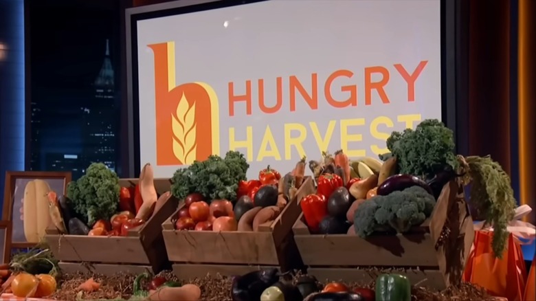 The Hungry Harvest logo behind boxes of veggies
