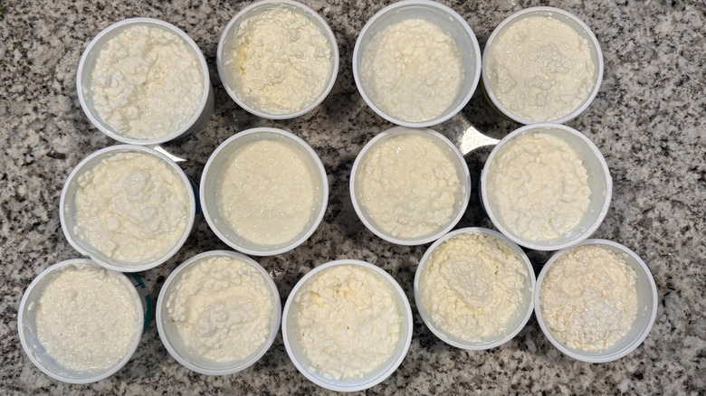 top down view of 13 open containers of cottage cheese