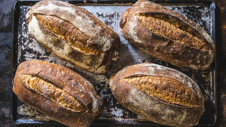 loaves of bread with brown crust