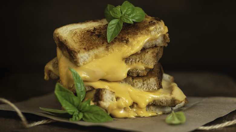 grilled cheese sandwich herb garnish