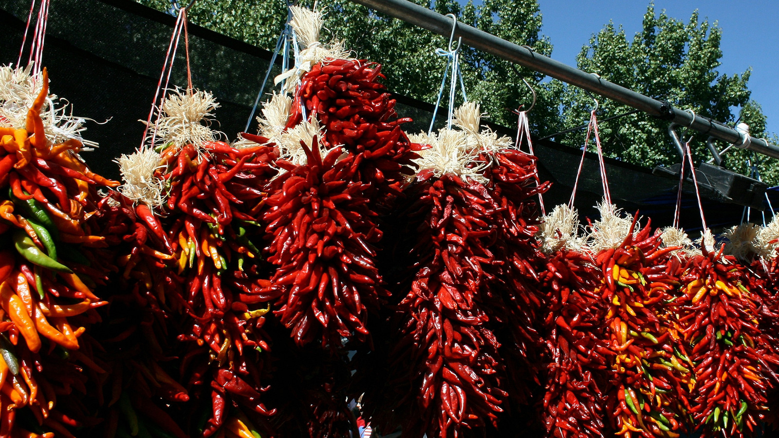 <a href="https://www.foodrepublic.com/2009302/green-chili-growing-up-colorado-local/" target="_blank">If Your Parents Fed You This Spicy Meal As A Kid, You Probably Grew Up In Colorado</a>