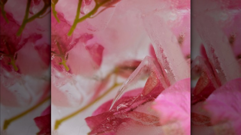 Floral ice cubes