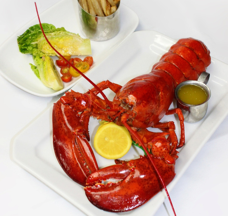 In Season Now: Fourchu Lobsters