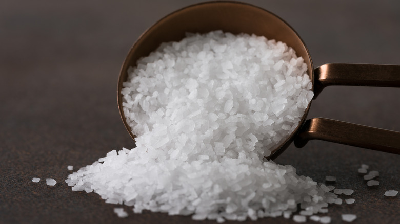 Kosher salt in metal spoon