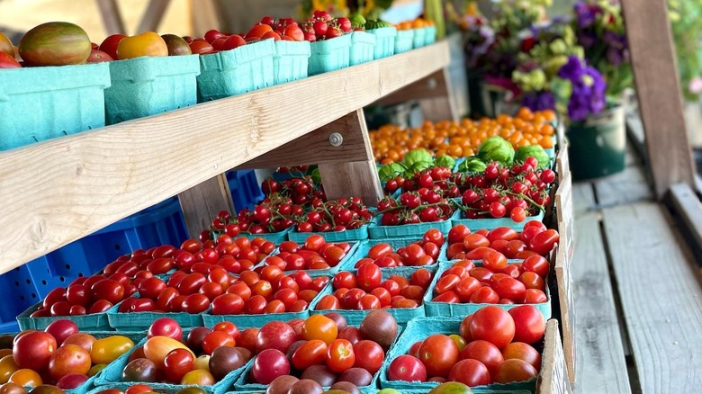 Tomato selection at Balsam Farms' roadside farmstand