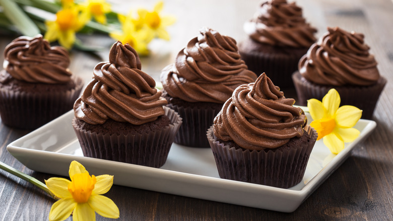 chocolate cupcakes