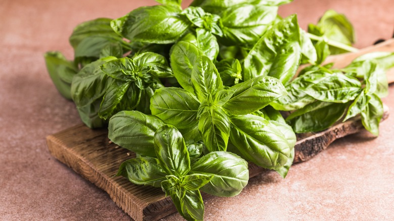 Basil leaves on wooden board