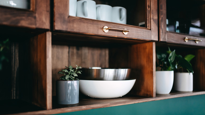 Plants and dishware on wooden kitchen shelves