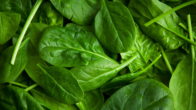 fresh spinach leaves