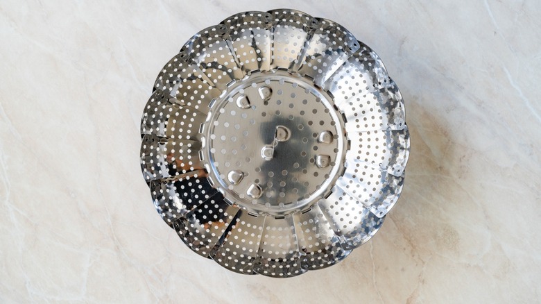 stainless steel steamer