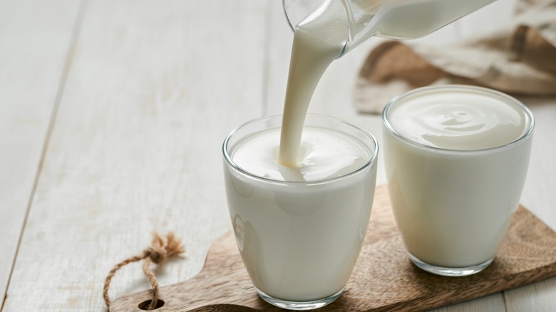 homemade yogurt