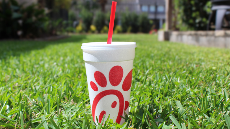 A white beverage cup from Chick-fil-A sits in some sunny grass.