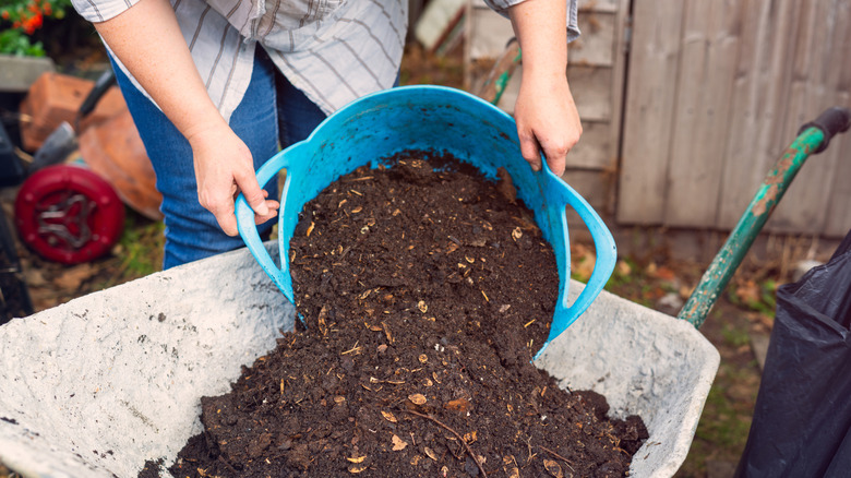A person dumping compost from a pot into a wheelbarrow.