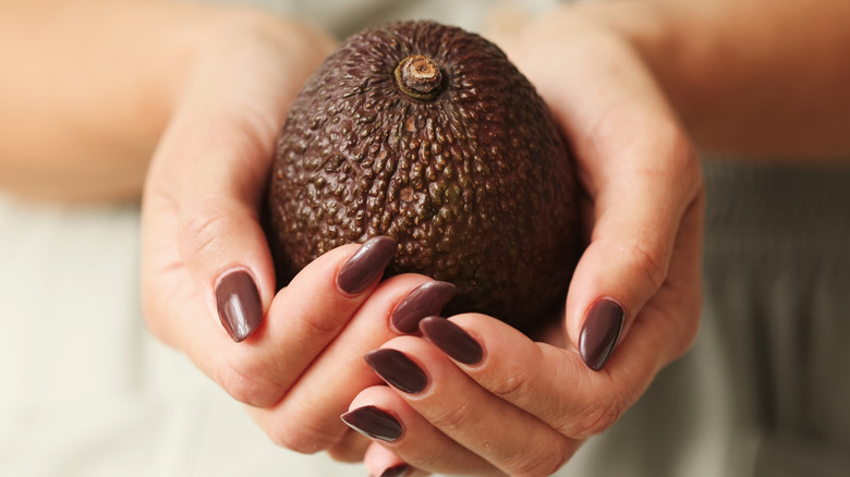 Hands holding avocado