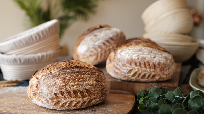 Scored loaves of sourdough