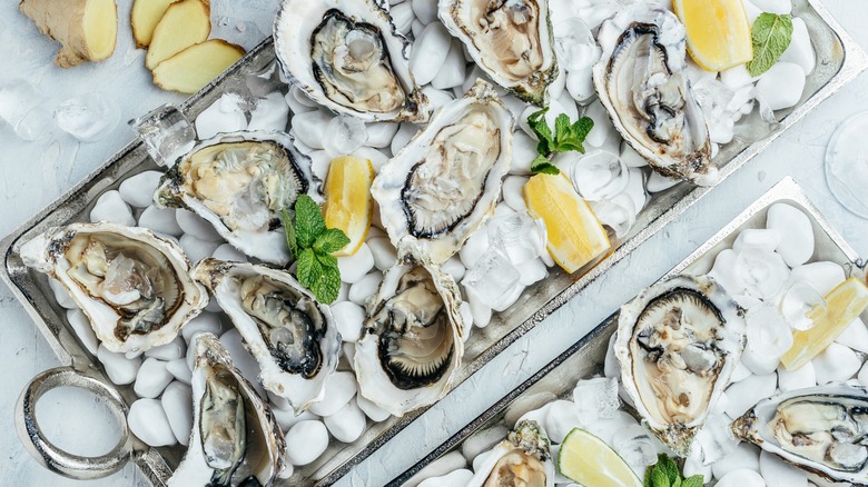 Shucked oysters on ice with lemon and ginger