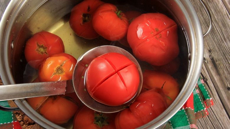 blanching tomatoes
