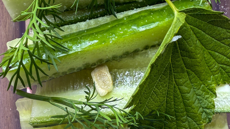 Herbs garnish overtop cucumber spears