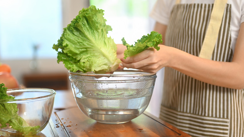 Home cook cashes lettuce in a glass bowl