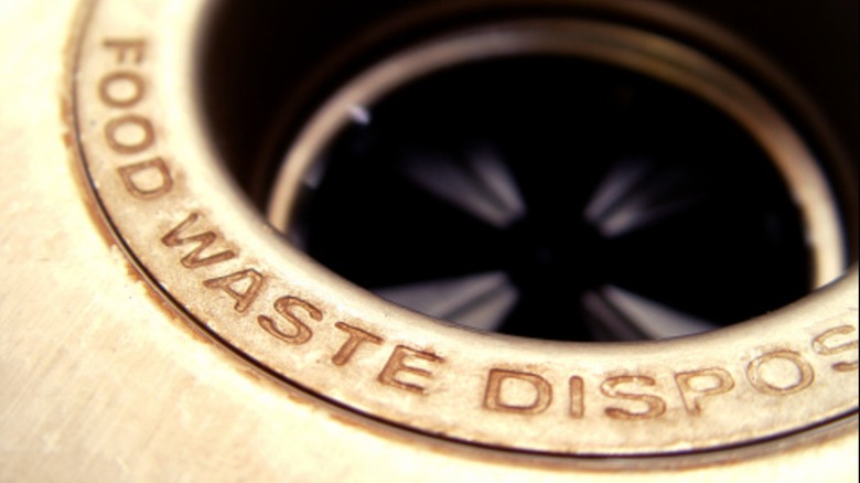 A closeup of a garbage disposal