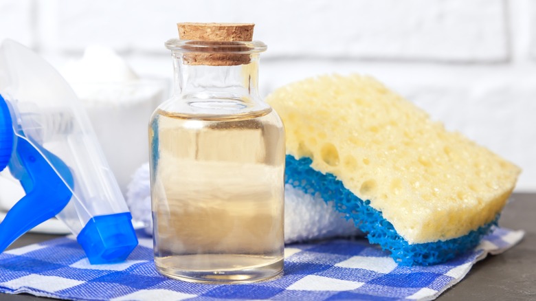 Apple cider vinegar in corked bottle with sponge